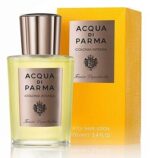 ACQUA DI PARMA COLONIA INTENSA ASH 100ML