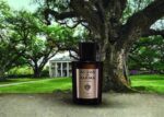 ACQUA DI PARMA QUERICIA 100 ML
