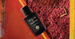 ACQUA DI PARMA SIGNATURES OUD & SPICE EDP M 100ML ACQUA DI PARMA SIGNATURES OUD & SPICE EDP M 100ML