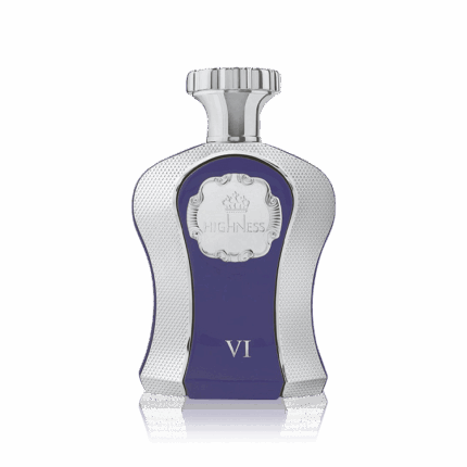 AFNAN HIGHNESS VI BLUE EDP M 100ML
