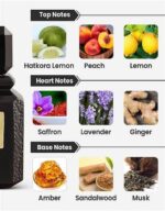 AJMAL HATKORA WOOD EDP U 100ML