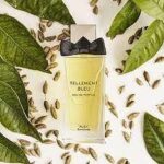 ALEX SIMONE TELLEMENT EDP U 30ML