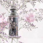 ALEXANDRE J SILVER OMBRE EDP D 100ML
