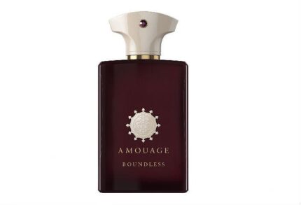 AMOUAGE BOUNDLESS EDP M 100 ML