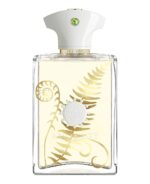AMOUAGE BRACKEN EDP M 100ML
