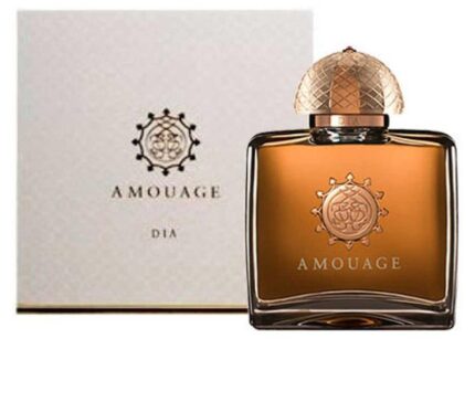 AMOUAGE DIA EDP D 100ML