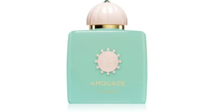 AMOUAGE LINEAGE EDP D 100ML