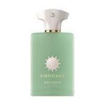 AMOUAGE MEANDER EDP M 100ML