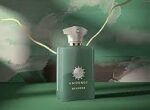AMOUAGE MEANDER EDP M 100ML