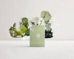 AMOUAGE MEANDER EDP M 50ML