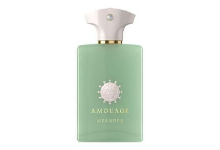 AMOUAGE MEANDER EDP M 50ML