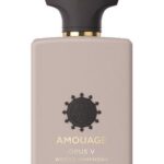 AMOUAGE OPUS V WOODS SYMPHONY EDP U 100ML