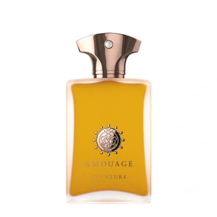 AMOUAGE OVERTURE EDP M 100ML