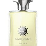AMOUAGE SILVER EDP M 100ML