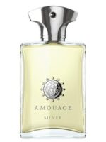 AMOUAGE SILVER EDP M 100ML