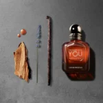 ARMANI STRONGER WITH YOU ABSOLUTELY EDP M 100 ML