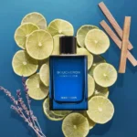BOUCHERON SINGULIER EDP M 100ML