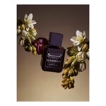 BRECOURT AGARESSENCE EDP D 50ML BRECOURT AGARESSENCE EDP D 50ML