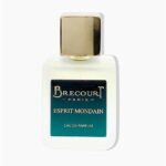 BRECOURT ESPRIT MONDAIN EDP M 50ML