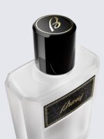 BRIONI EAU DE PARFUM ECLAT M 100ML