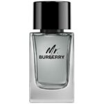 BURBERRY MR 100 ML M