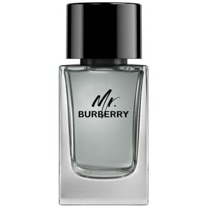 BURBERRY MR 100 ML M