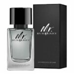 BURBERRY MR.BURBERRY ASH