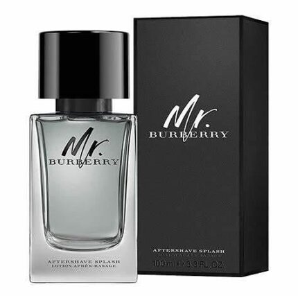 BURBERRY MR.BURBERRY ASH