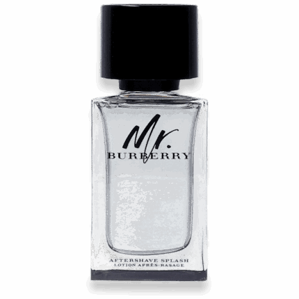 BURBERRY MR.BURBERRY ASH