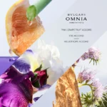 BVLGARI OMNIA AMETHYSTE EDT 100ML