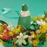 CACHAREL EDEN EDP D 50ML