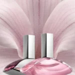 CALVIN KLEIN EUPHORIA EDP D 50ML CALVIN KLEIN EUPHORIA EDP D 50ML