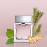 CALVIN KLEIN EUPHORIA EDT M 50ML
