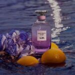 COACH DREAMS MOONLIGHT EDP D 60ML