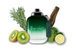COACH GREEN EDT M 100ML