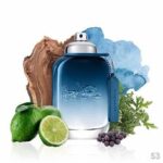 COACH MAN BLUE EDT M 40ML