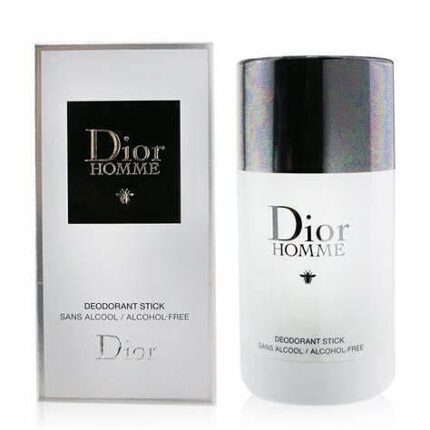 DIOR HOMME STICK