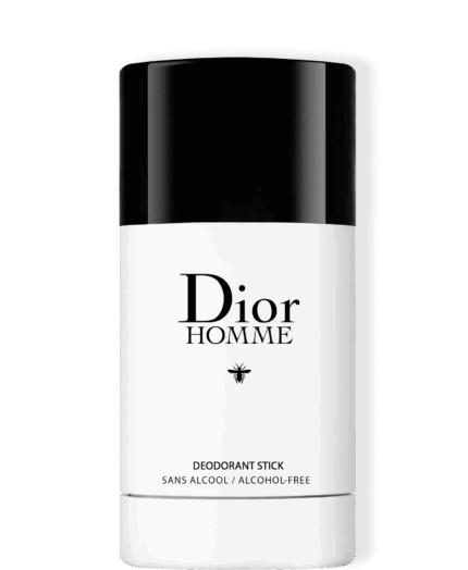 DIOR HOMME STICK