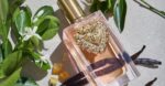 DOLCE GABBANA DEVOTION EDP D DOLCE GABBANA DEVOTION EDP D