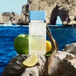 DOLCE GABBANA LIGHT BLUE EDT D 30ML