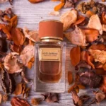 DOLCE GABBANA VELVET EXOTIC LEATHER EDP 100ML DOLCE GABBANA VELVET EXOTIC LEATHER EDP 100ML