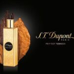 DUPONT PERFECT TABACCO 100ML