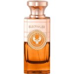 ELECTIMUSS SPICE D`ARNO PARFUM U 100ML
