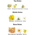 ELIZABETH ARDENT SUNFLOWERS EDP D 100ML ELIZABETH ARDENT SUNFLOWERS EDP D 100ML