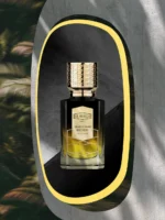 EX NIHILO CHANDIGARH EXPRESS EXTRAIT U 100ML