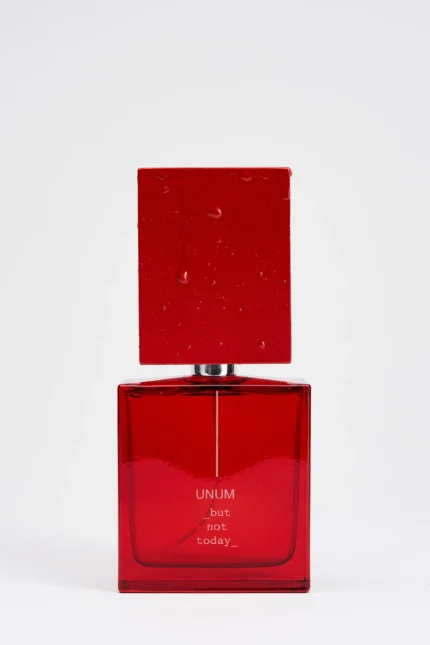 FILIPPO SORCINELLI BUT NOT TODAY EXTRAIT DE PARFUM U 100ML