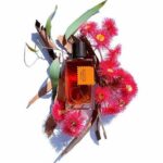 GOLDFIELD & BANKS DESERT ROSEWOOD EDP U 100ML