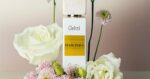 GRITTI ECLECTIQUE EDP D 100ML