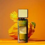 GRITTI MANGO AOUD EDP U 100ML