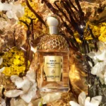 GUERLAIN AQUA ALLEGORIA FORTE BOSCA VANILLA EDP D 75ML
